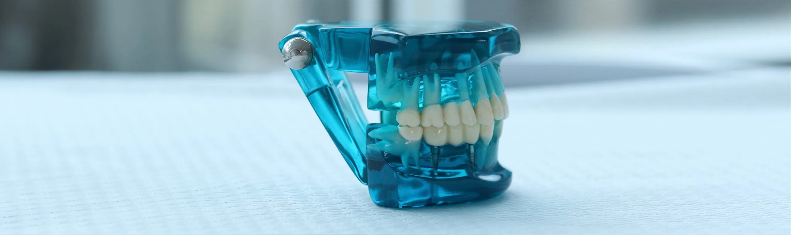 Dental Merkez — 5. slayt