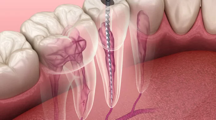 Dental merkez ağız ve diş sağlığı merkezi