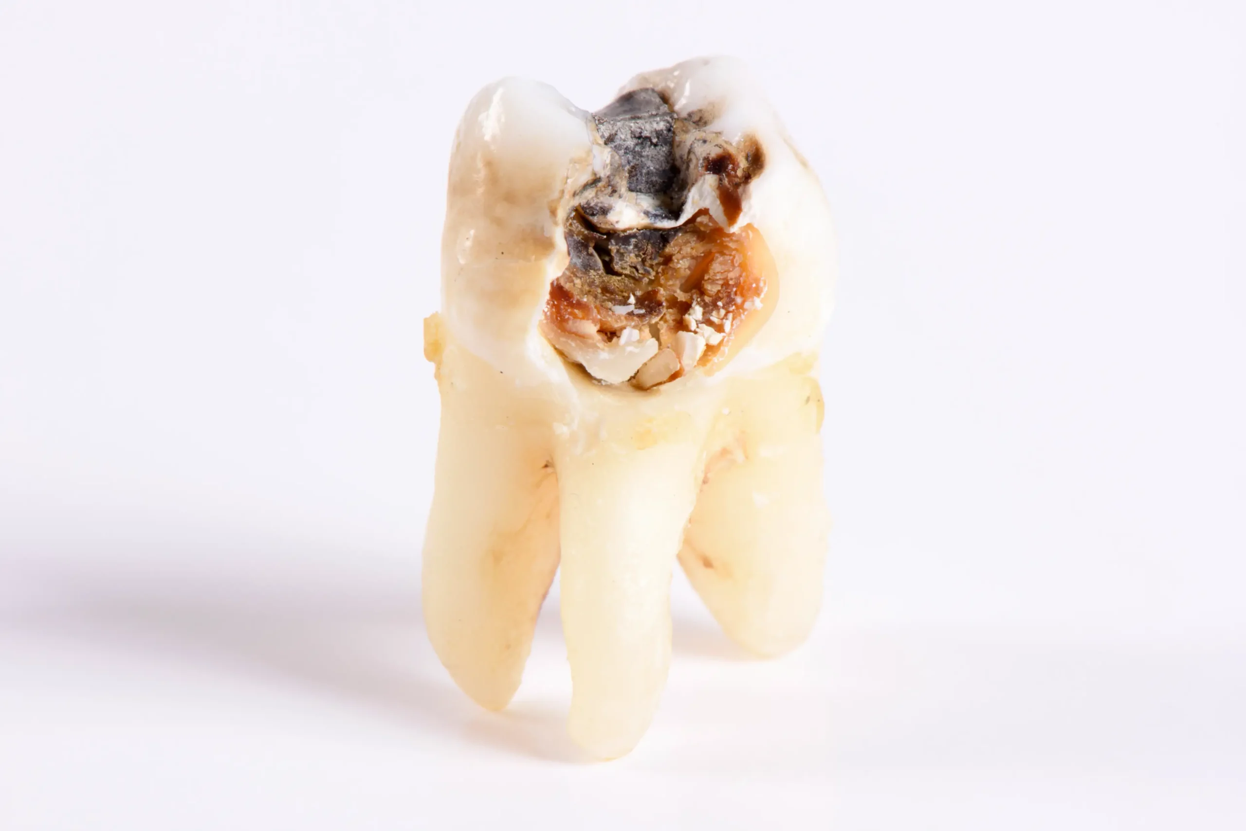 Dental merkez ağız ve diş sağlığı merkezi